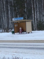 На остановке.jpg